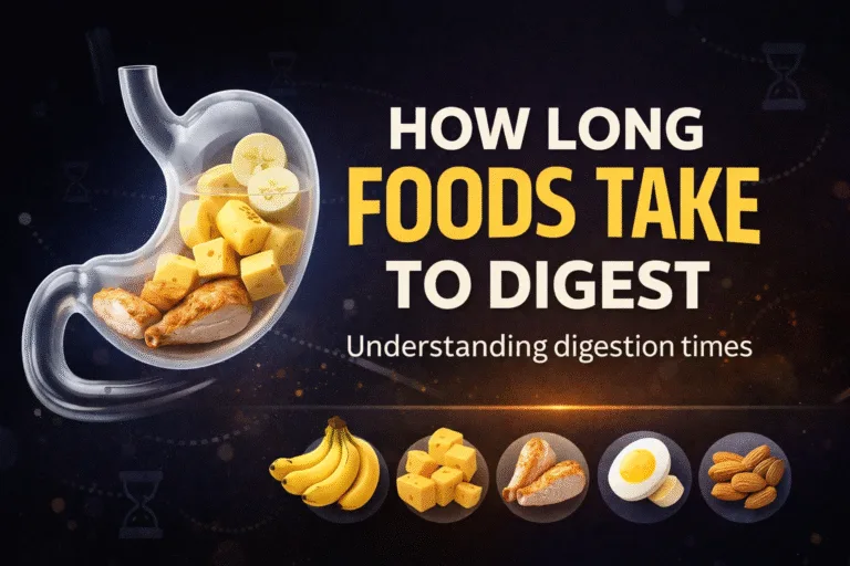 How Long It Takes to Digest Common Foods Digestion Time Chart for Gut Health  Wellness