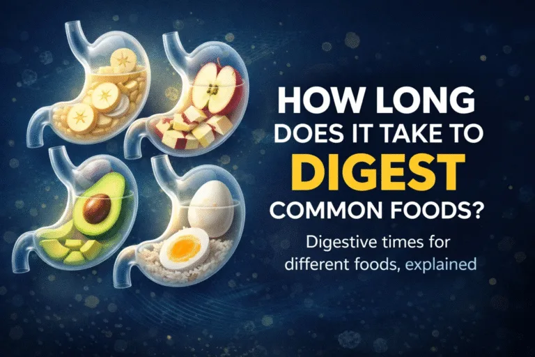 How Long Common Foods Take To Digest  Healthy Digestion  Gut Health Tips For Women