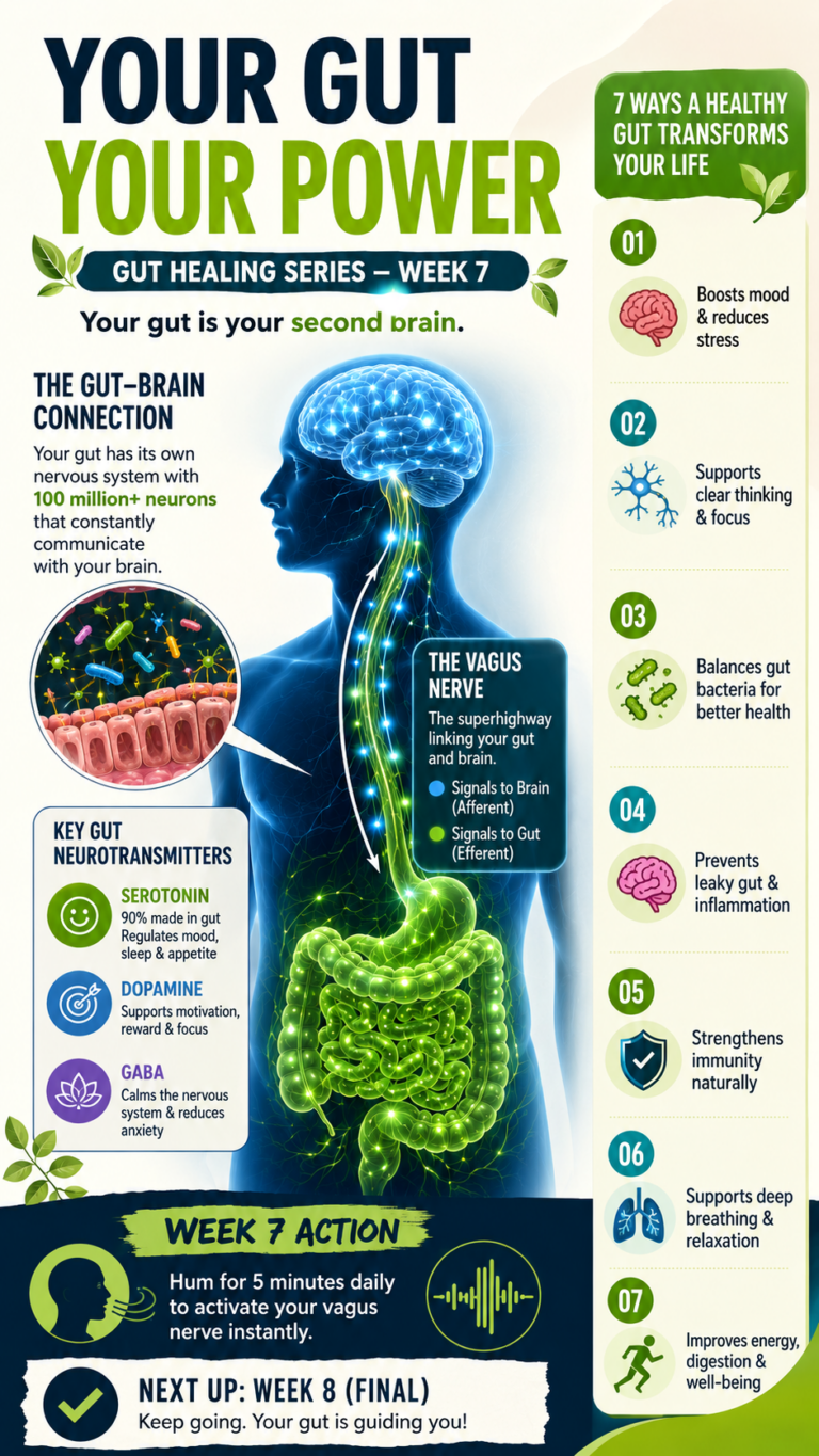 Gut-Brain Axis Explained How Your Second Brain Affects Mood, Digestion  Health